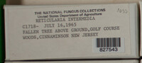 Image Associated With the Occurence